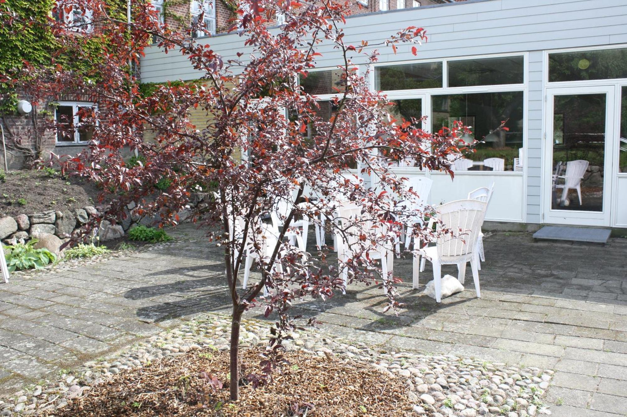 Emmaus Hostel Haslev Экстерьер фото